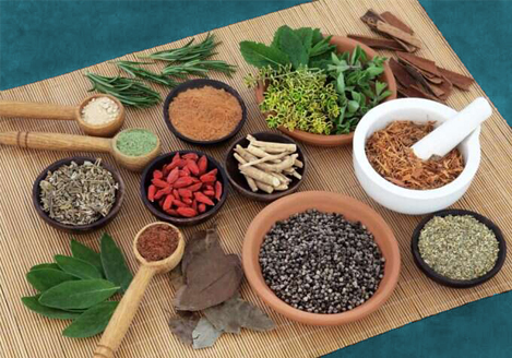 Everything You Need to Know About Stronger Immunity!